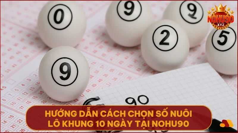 Áp dụng phân tích thống kê để chọn số nuôi lô khung chính xác tại NOHU90