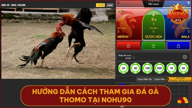 Chỉ với 4 bước đơn giản bạn đã có thể bắt đầu đặt cược đá gà Thomo tại NOHU90.