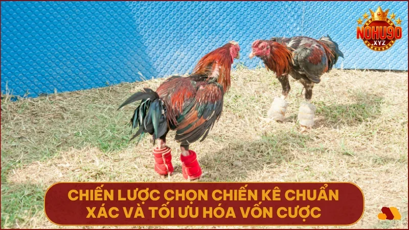 Áp dụng chiến thuật hợp lý sẽ tăng cơ hội thắng và giữ vững nguồn vốn.