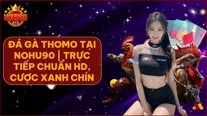 Đá gà Thomo NOHU90 – Trực tiếp đấu trường kê vương & bí kíp bất bại