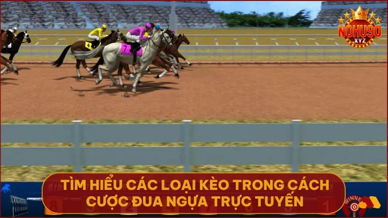 Nắm vững từng loại kèo để tăng cơ hội thắng khi cá cược đua ngựa